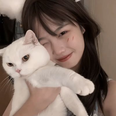 kaiyun平台app下载