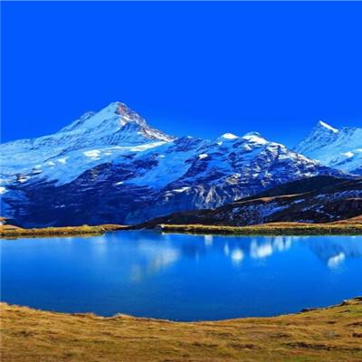 亚虎娱乐app下载手机app下载