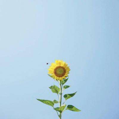 ag亚游APP登陆下载手机版