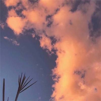 鸭脖app下载下载手机版