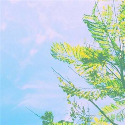 足球滚球的正规平台appapp下载