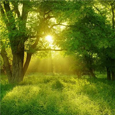 天博国际线上平台官网下载